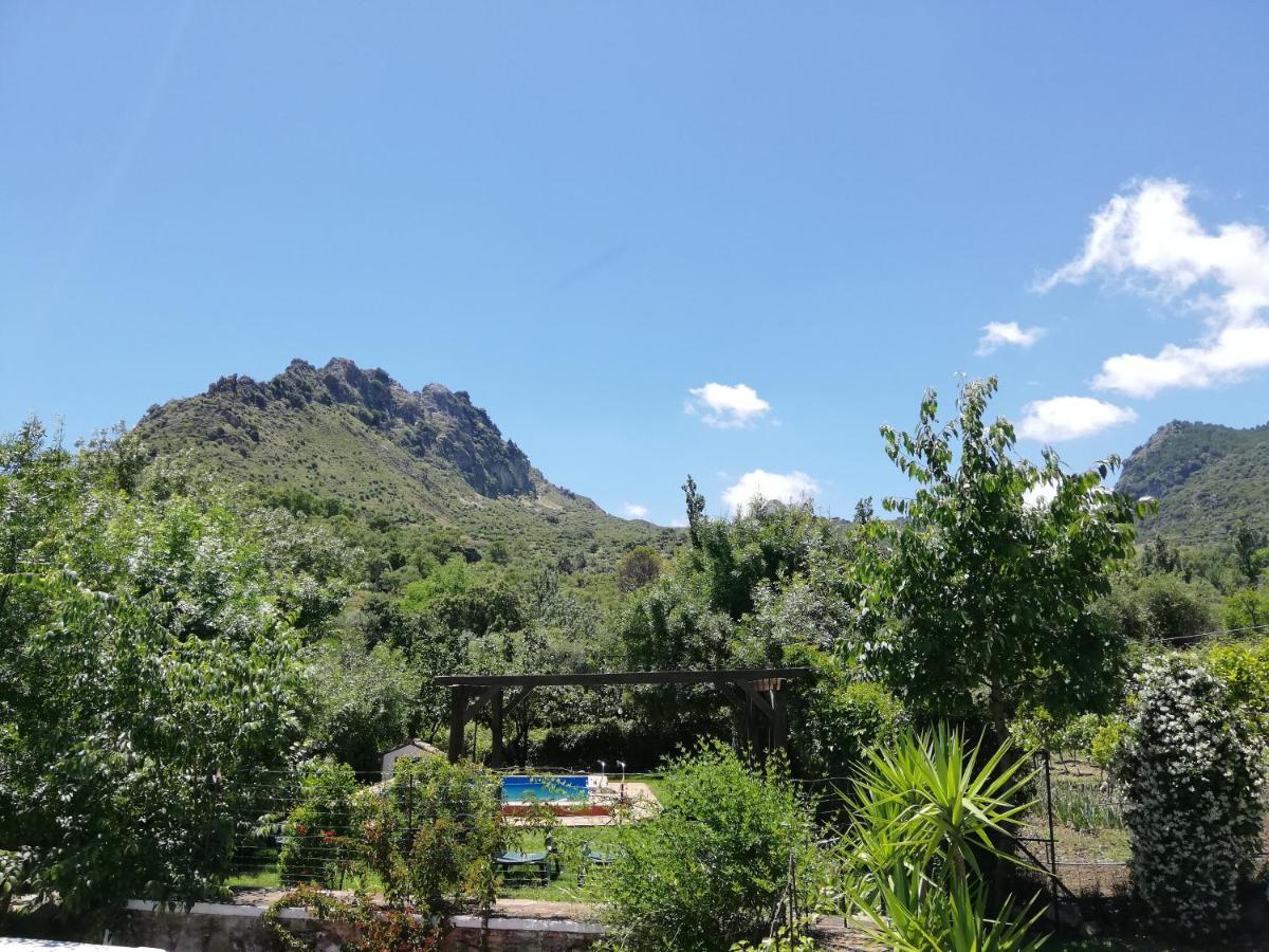 Casa Rural La Maquinilla Grazalema Εξωτερικό φωτογραφία