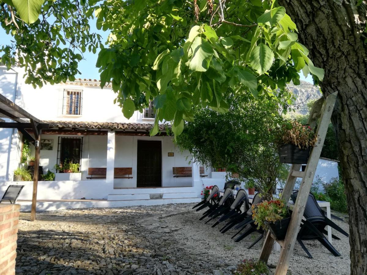 Casa Rural La Maquinilla Grazalema Εξωτερικό φωτογραφία
