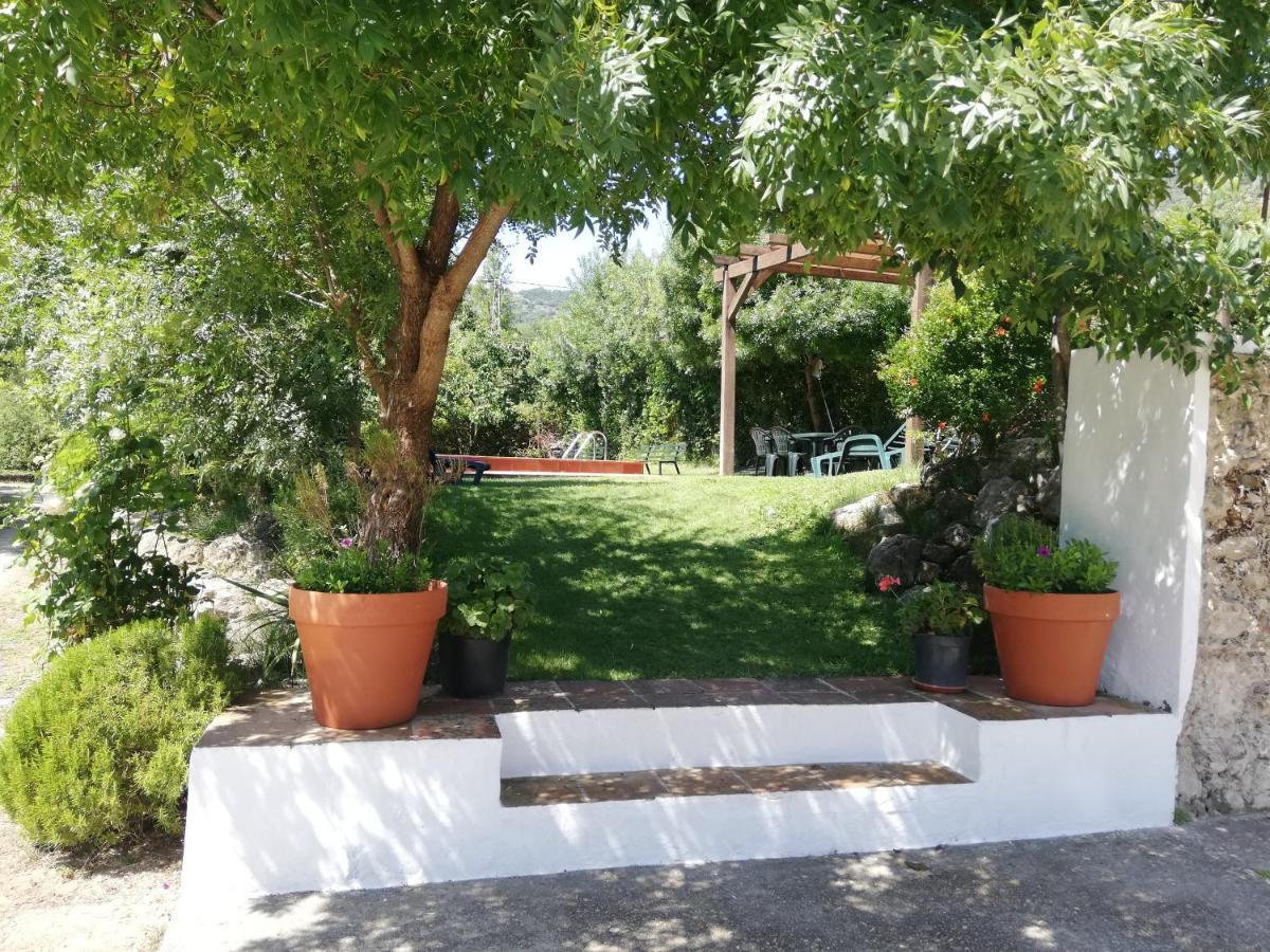 Casa Rural La Maquinilla Grazalema Εξωτερικό φωτογραφία