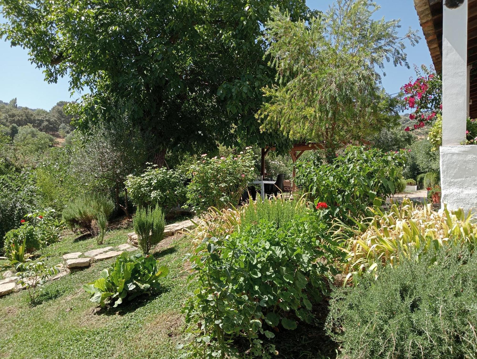 Casa Rural La Maquinilla Grazalema Εξωτερικό φωτογραφία