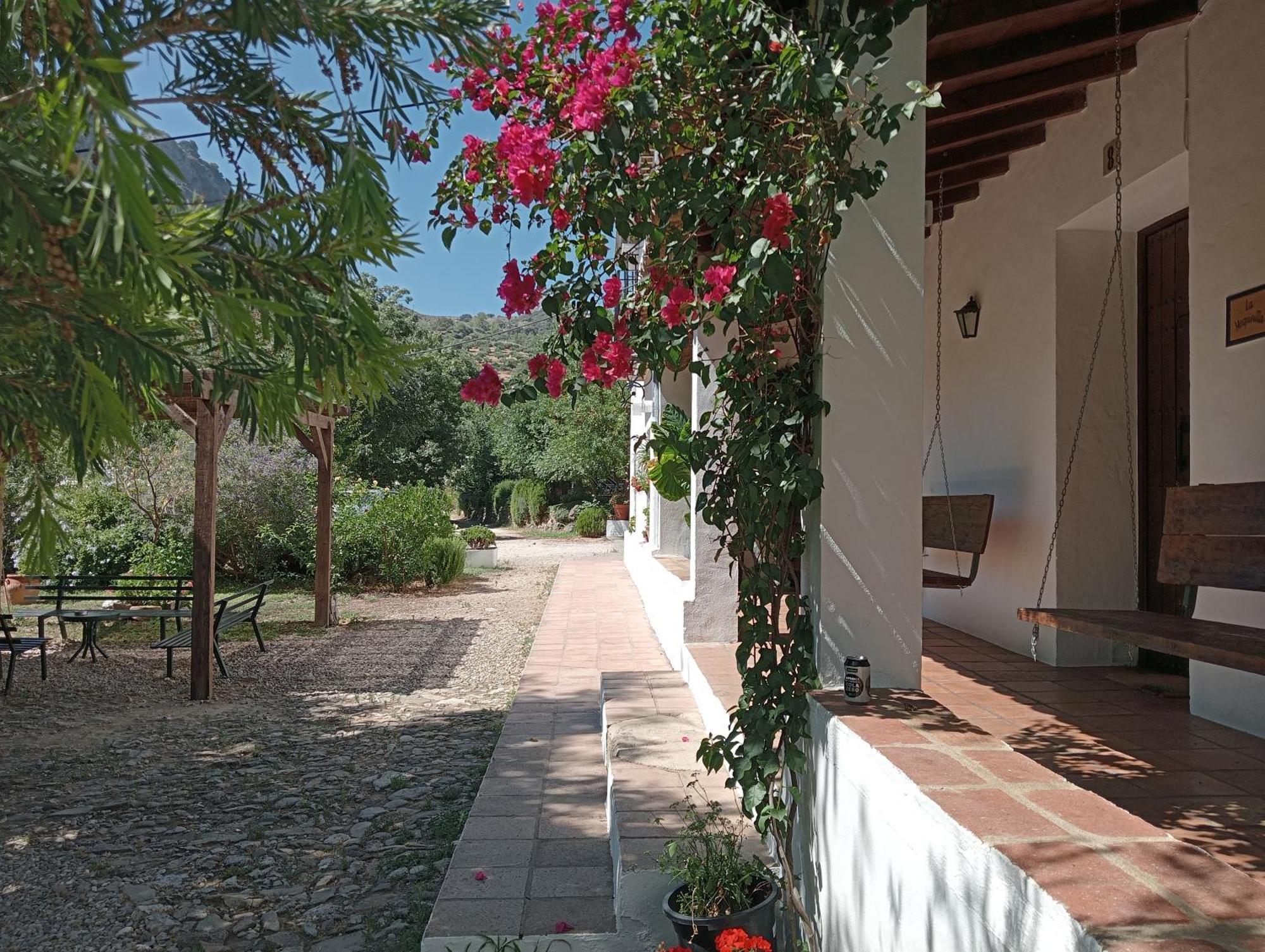 Casa Rural La Maquinilla Grazalema Εξωτερικό φωτογραφία