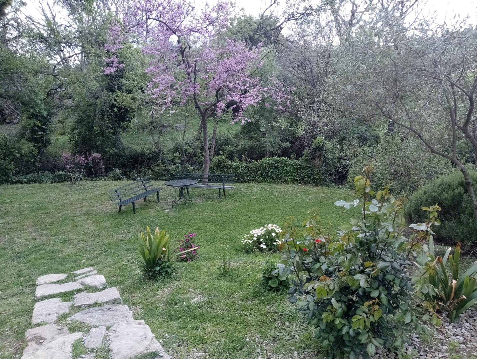 Casa Rural La Maquinilla Grazalema Εξωτερικό φωτογραφία