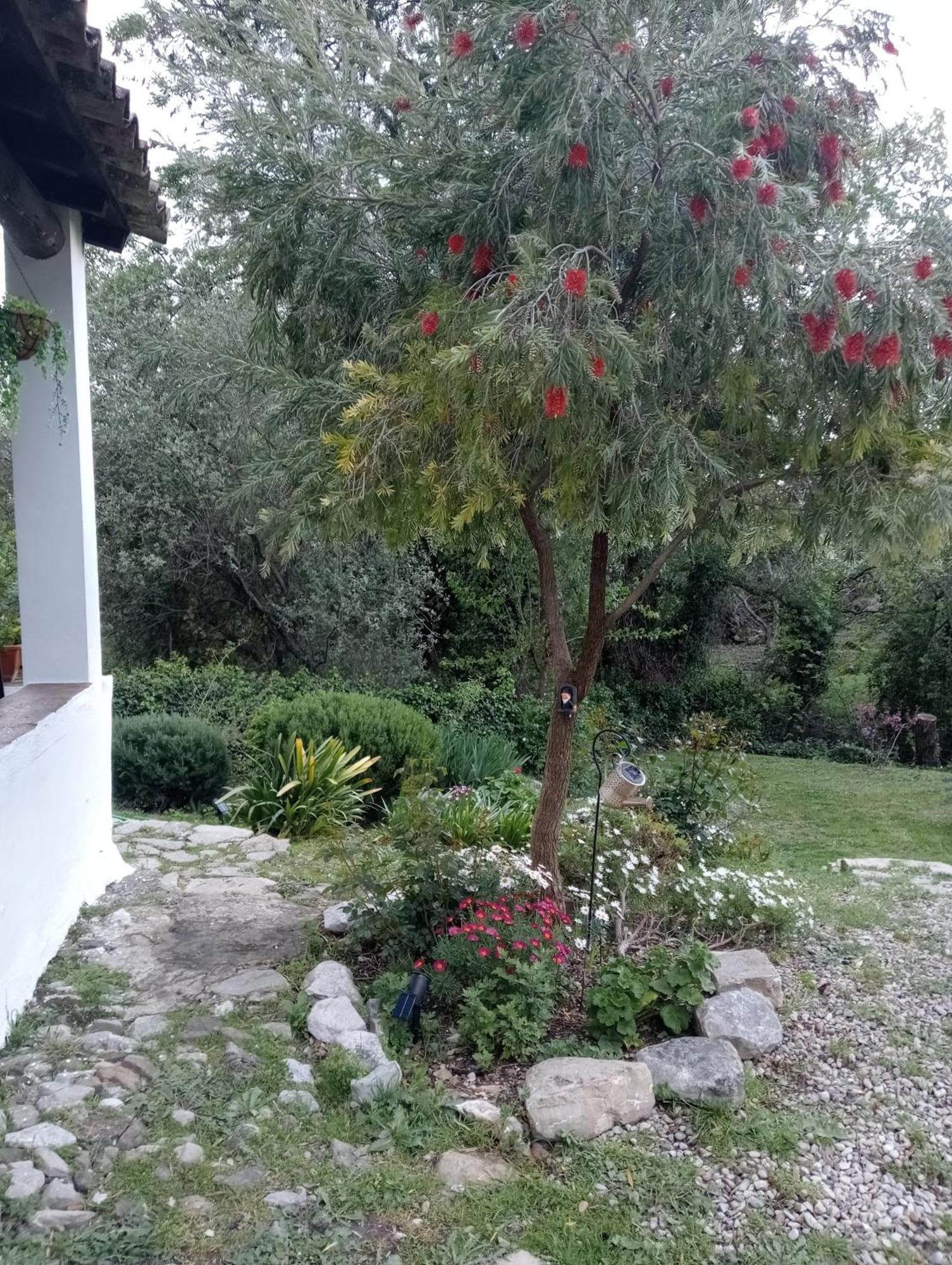 Casa Rural La Maquinilla Grazalema Εξωτερικό φωτογραφία