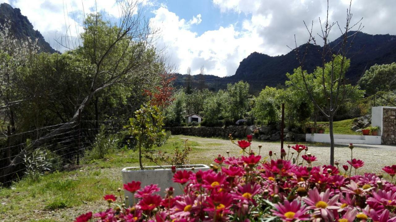 Casa Rural La Maquinilla Grazalema Εξωτερικό φωτογραφία